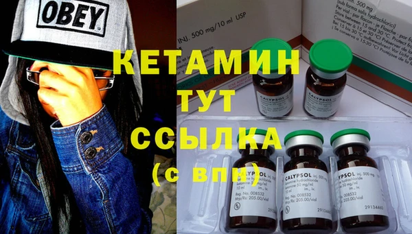a pvp Новозыбков