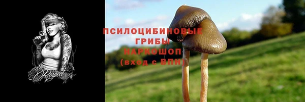 спайс Новодвинск