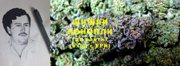 спайс Новодвинск