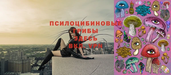 спайс Новодвинск