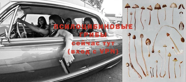 спайс Новодвинск