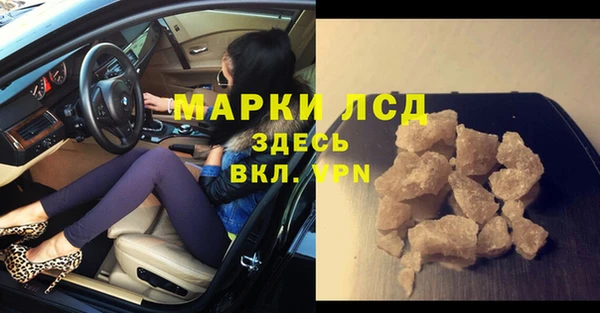 a pvp Новозыбков