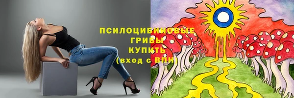 экстази Осташков