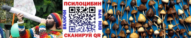 Псилоцибиновые грибы GOLDEN TEACHER где можно купить наркотик Наволоки